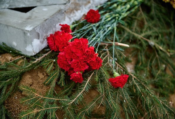    Фото: Dmitrii Iakimov / Shutterstock / Fotodom