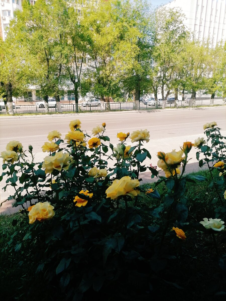 Автострада у нашего дома