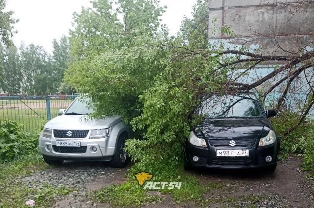    Фото: Telegram-канал АСТ-54 Black