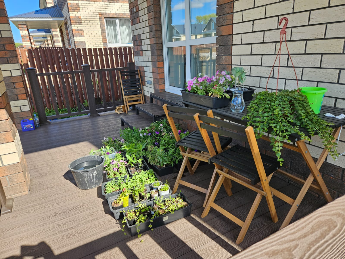 Это остатки рассады