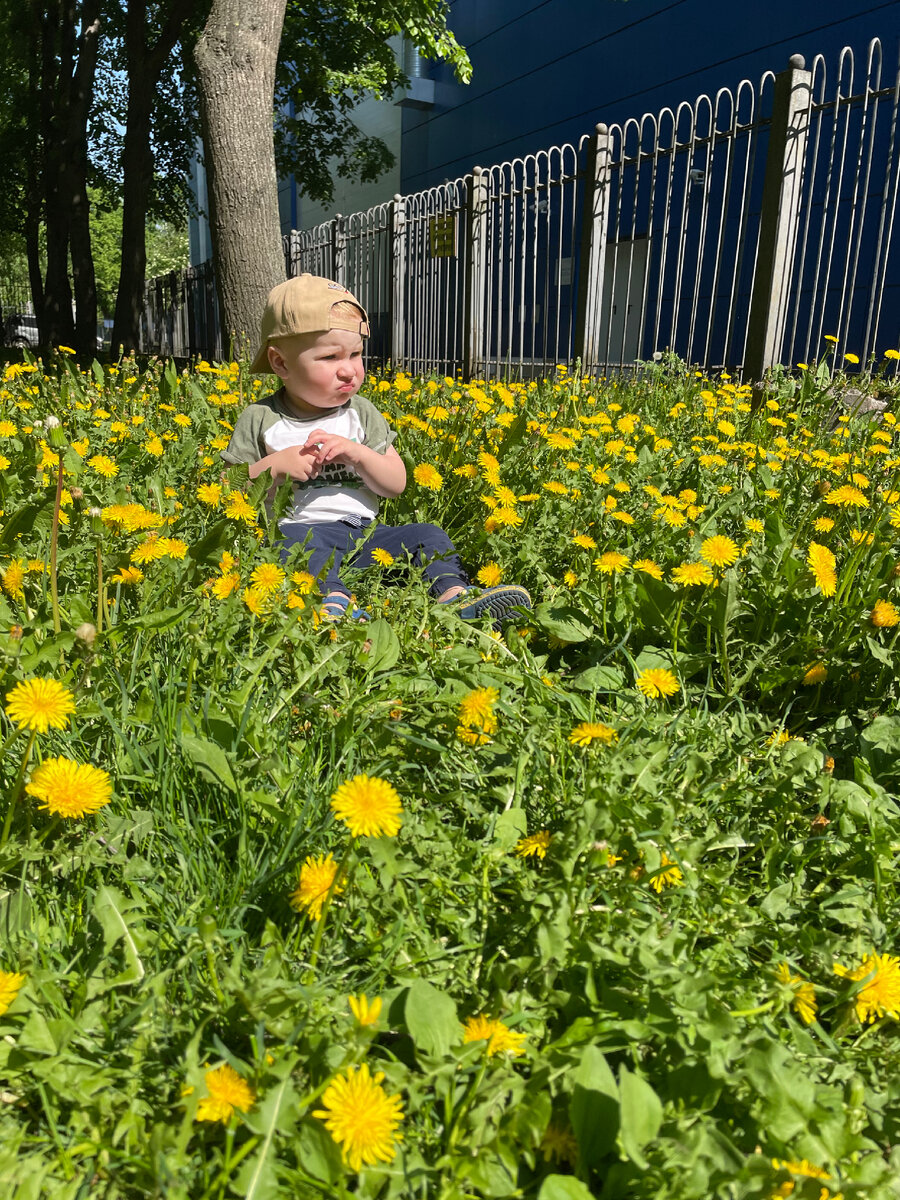 Карапуз идет в сад осенью…