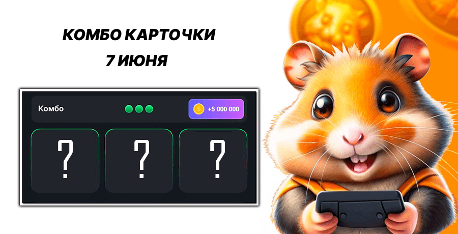 Хамстер комбо