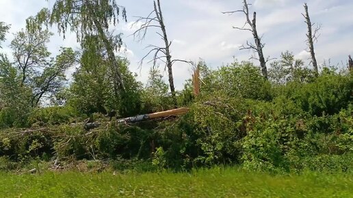 Последствия смерча в Белинском районе