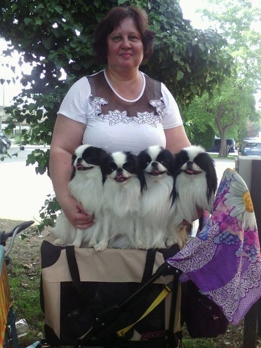 Мои хины. Международная выставка в Словакии