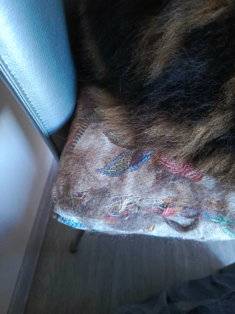 А вся подушка еще более шерстяная.