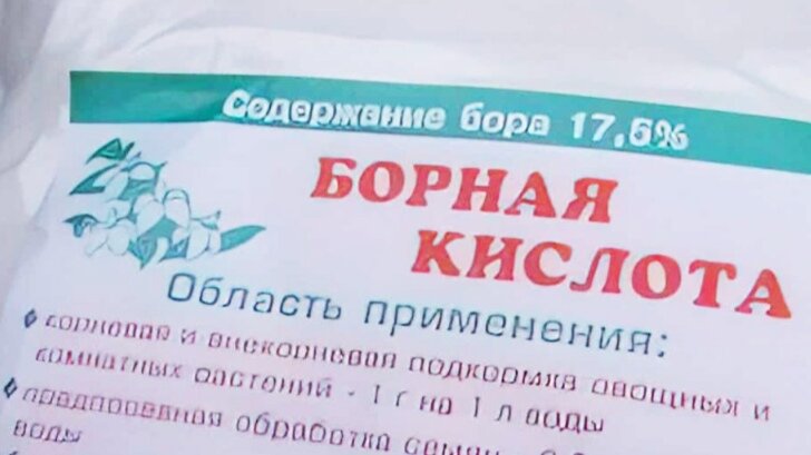 Важная добавка в нашем саду