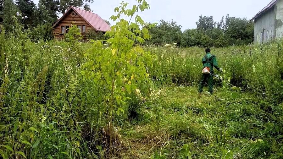 Многим деревенским приходится уделять внимание не только своей, но и чужой территории. Фото из открытых источников.