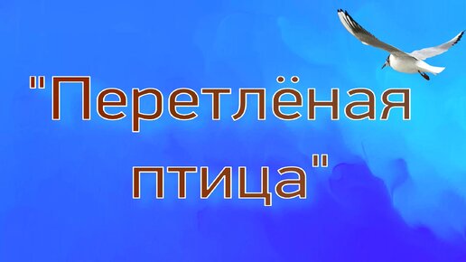 =Перелётная птица= - Ярослав Семёнов.