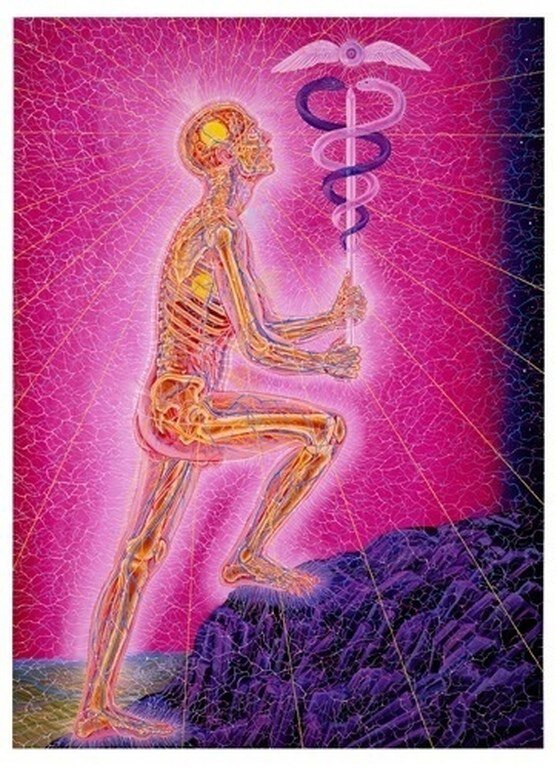 ‍ 
Колород (чакра родник) - если здесь свеча коптит или как-то себя ведет необычно, закрыт канал взаимосвязи с Богами и Предками. Опыт показывает, что почти у всех крещеных людей так это и есть.

Уровень правого уха - не желает слушать других.

Левое ухо - не желает слышать себя.

Шея - отсутствует гибкость мышления.

Плечи - правое - для Мужчины - неумение брать на себя ответственность за жизнь тех, кого принял в свой мир, для Женщины - неумение доверять ответственность за жизнь своему мужчине.

Левое - для Мужчины - неумение доверять женщине, быть хранительницей, для Женщины - неумение брать ответственность за саму cебя в этом мире.

Локти - правый - отталкиваете кровных родственников, левый - отталкивание совершенствования самих себя («я не смогу, мне это не по плечу...»). 

Бедра - правое - негармоничные взаимоотношения с отцом, левое - с мамой.

Колени - левое - неумение преклонить колено перед более мудрой женщиной (для мужчины - перед женой, тещей, для девушки - матерью, свекровью), правое - неумение преклонить колено перед более мудрым мужчиной (для мужчины - перед соратником, отцом, тестем, для женщины - перед мужем, отцом и свекром).

Ступни, щиколотки - неумение двигаться, левое-для женщины - к своей цели, для мужчины - навстречу к женщине. Правая - для Мужчины - к своей цели, для женщины - к мужчине.

Лоб - нежелание думать над существующими проблемами.

Глаза - нежелание видеть прошлое (левый глаз) и будущее (правый глаз). Близорукость - не желает видеть будущее, дальнозоркость - нежелание анализировать прошлые ошибки.

Горло - неумение речь правду самому себе (со стороны 7 шейного позвонка) и другим (на уровне ярёмной выемки, щитовидка).

Сердце - неумение любить: спереди - других, со стороны позвоночника - себя, прячется человек от любви.

Живот - неумение переваривать: спереди - свое настоящее, сзади - неумение принять свое прошлое. Поясница, с копчиком проблемы, геморрой - прошлое тянет, не отпускает.

Половые органы - неумение зарождать что-либо в этом мире: спереди - будущее, сзади - отпустить прошлое. Запоры - человек не расстается со своим прошлым, жалеет себя много. Диарея - слишком быстро все скинуть с себя стремится человек, не доводя ничего доконца.