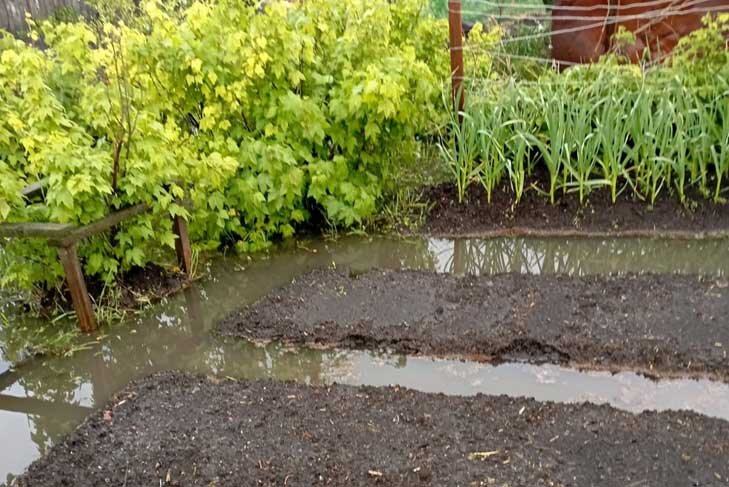    Вода не спешила уходить с переувлаженной почвы. Фото «Чулымская газета».