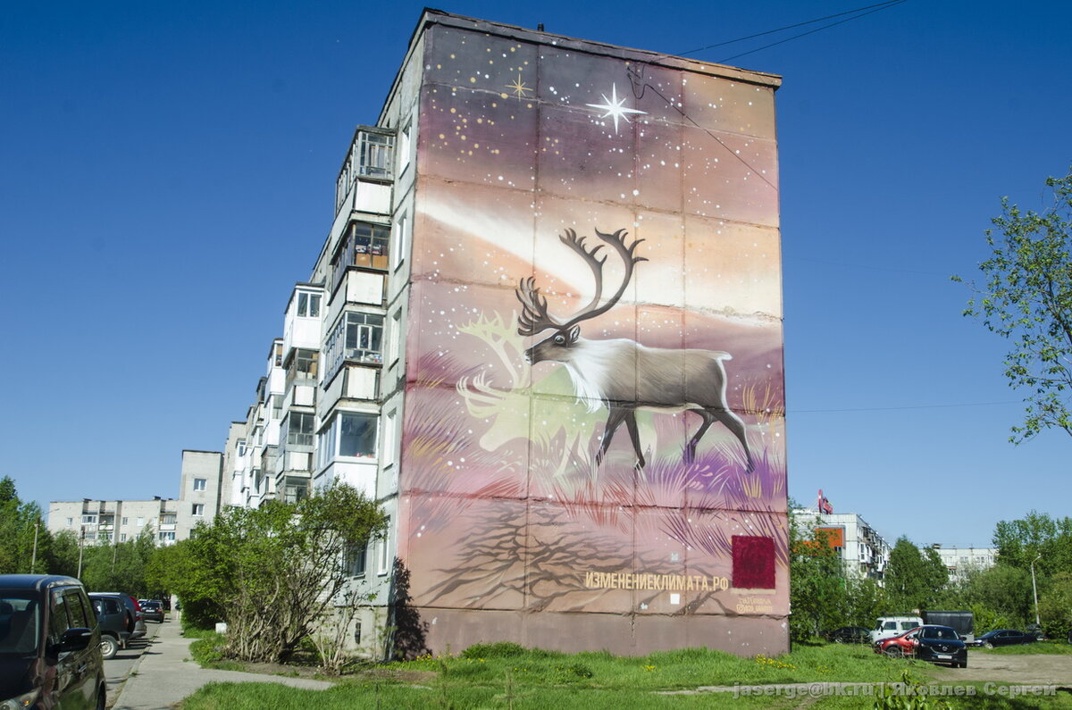 В Северодвинске решили закрасить эмблему Всемирного фонда дикой природы (признан иноагентом в РФ) на городских муралах.-2