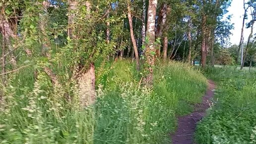 Снижается слух, возникает гипертония прямо сейчас от городского шума, Москва