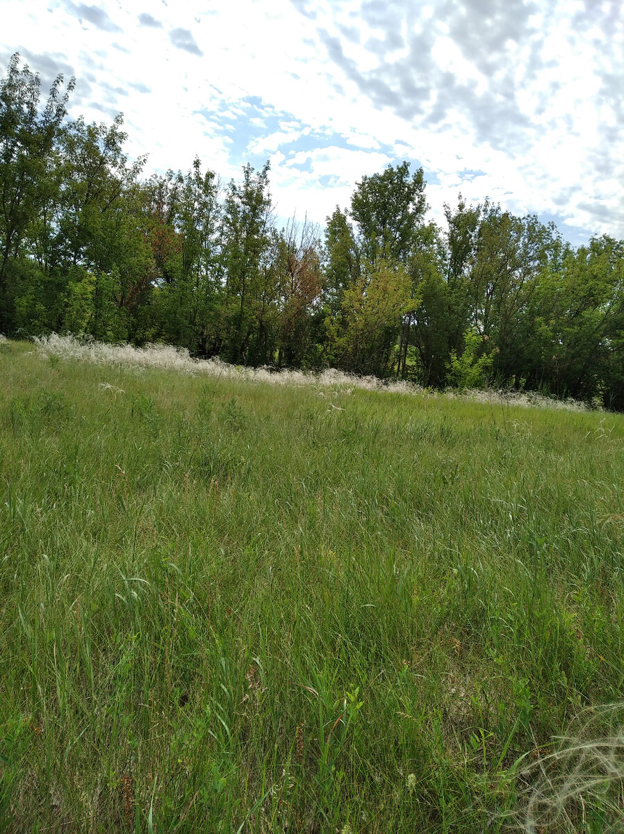 Хорошо где то там, но не там где я.