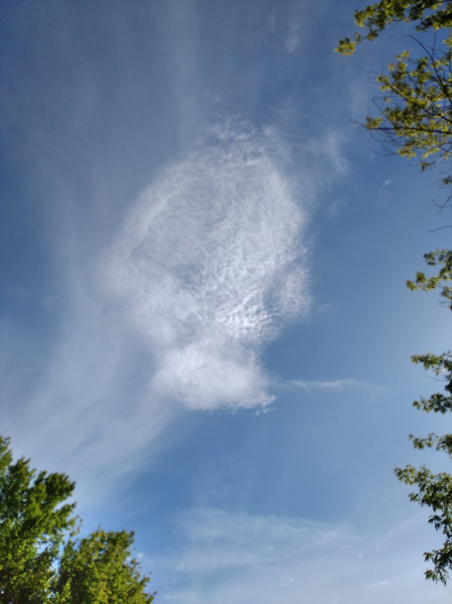 Свет есть, когда есть силы его увидеть.