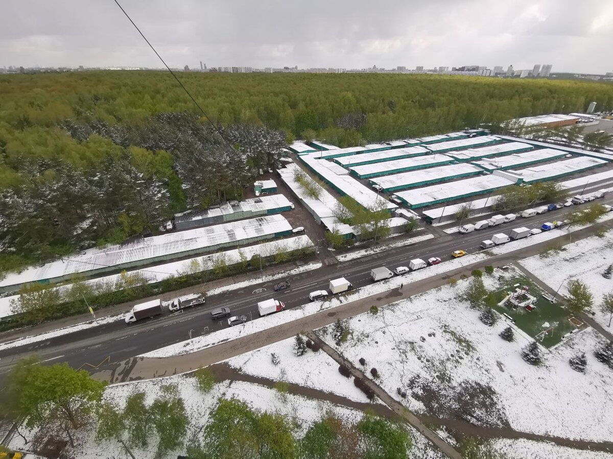 Бирюлёво. Дендропарк.