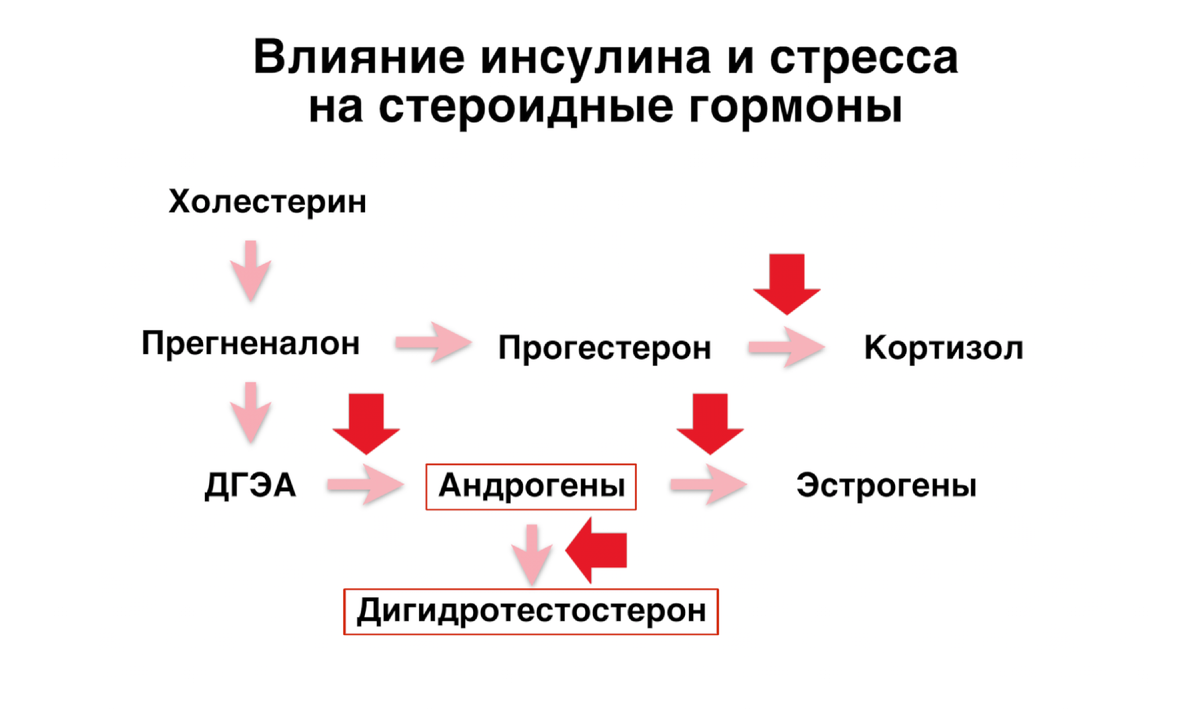 Стресс и повышенный инсулин нарушают синтез стероидных гормонов на разных этапах стероидогенеза.