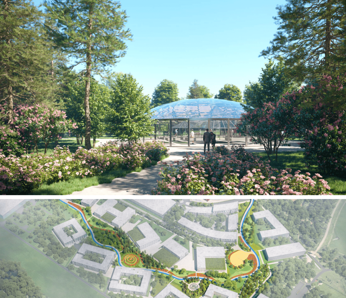 Проект исцеляющего сада в «Сколково». 11га открытого общественного пространства, по которому можно пройтись и насладиться природой.  