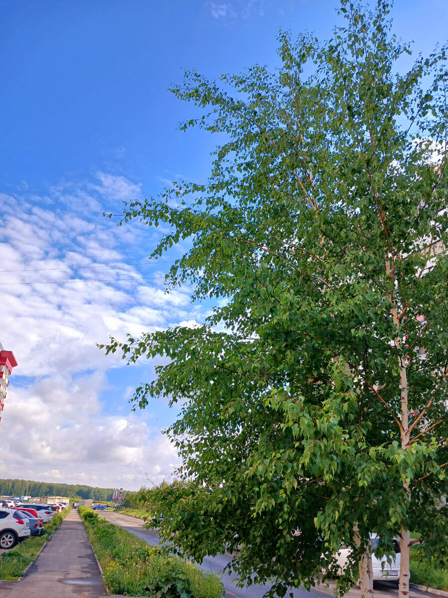 "Доброе утро,  мир! Ты прекрасен!" Фото автора 