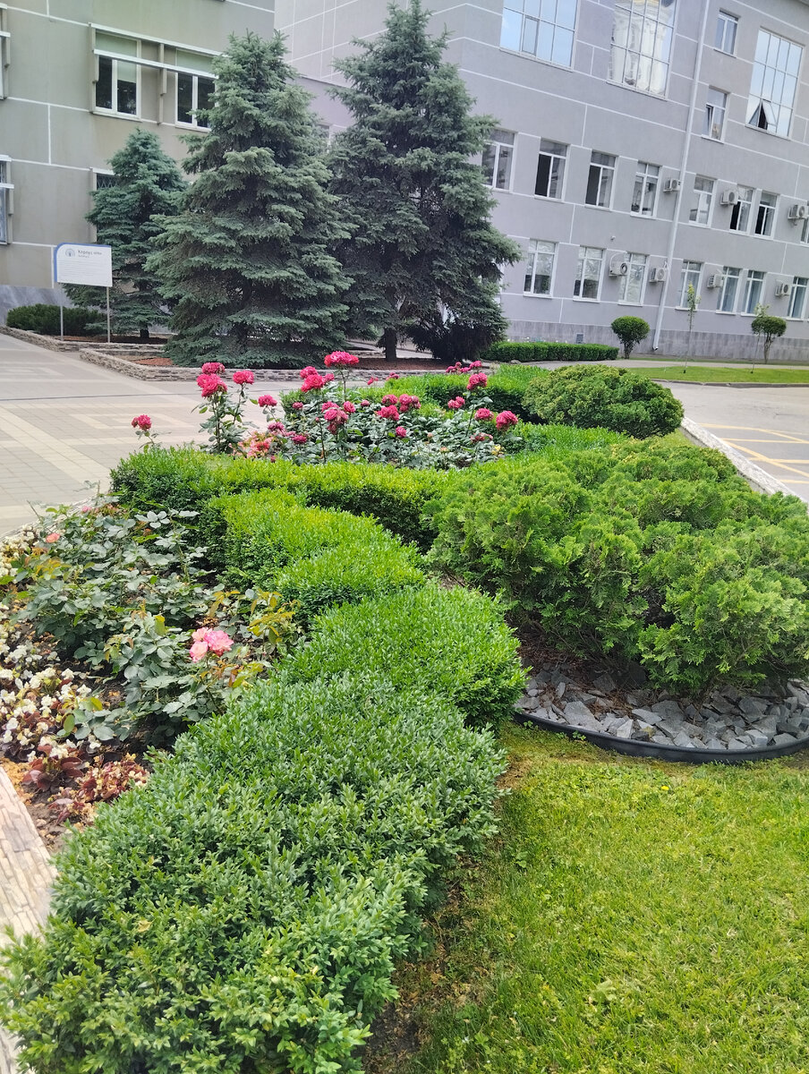 Фото моё. Университет. Там потрясающий ландшафт. Обожаю.