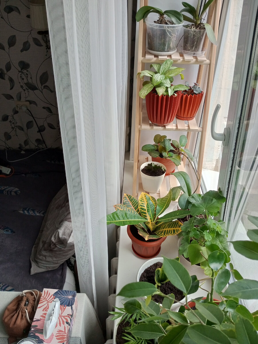 Больше зелени