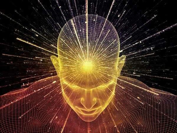 Взято из открых источников