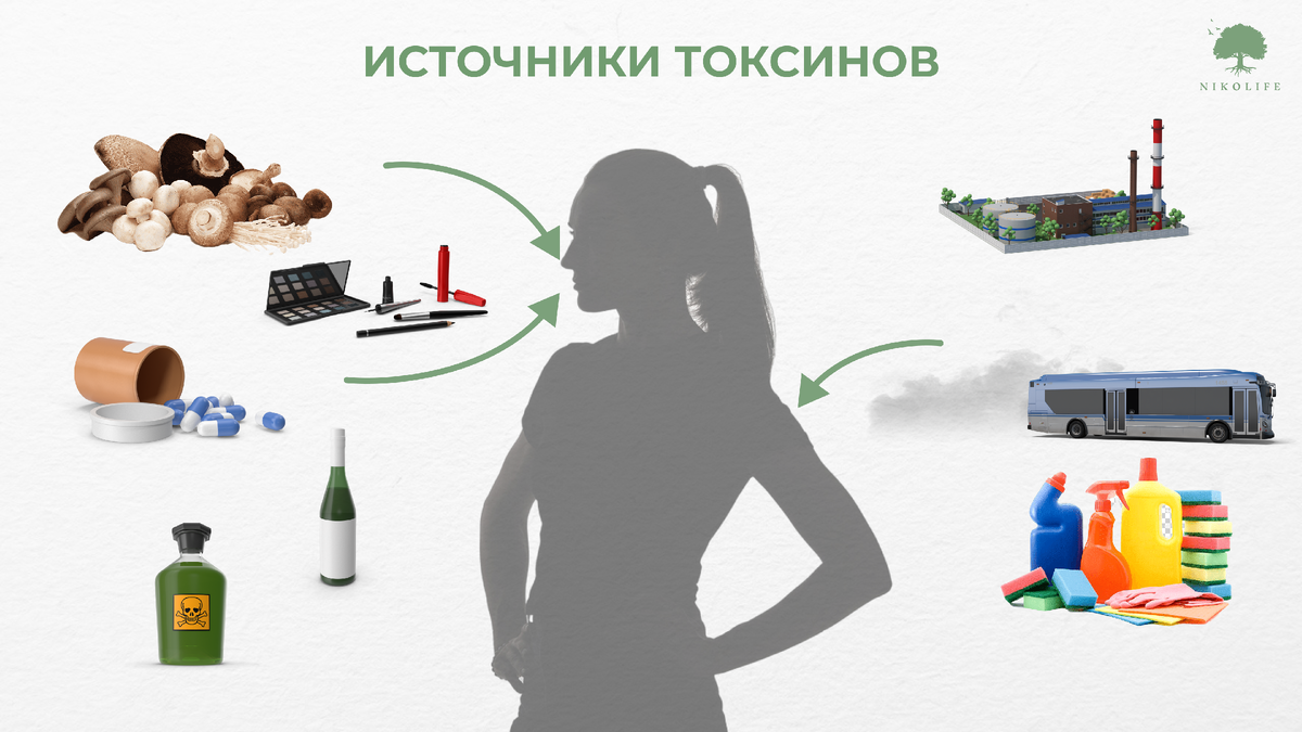 Источники токсинов