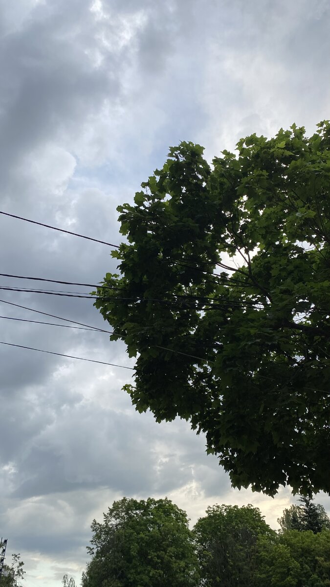 Фото из архива автора