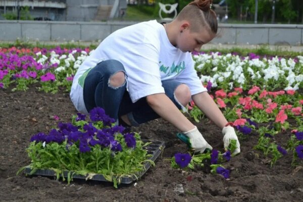     В областном центре начинается ежегодный городской конкурс «Цвети, Иваново!»