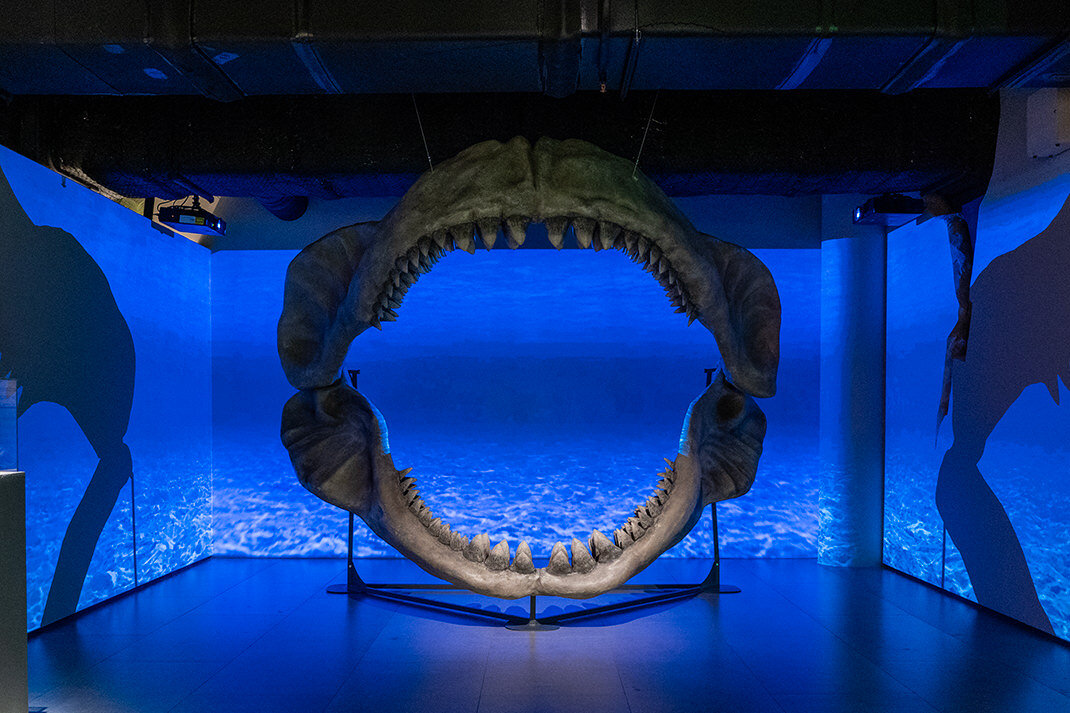 Музей «Арт и факты» в Санкт-Петербурге