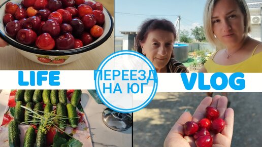 Переехали на ЮГ и не ЖАЛЕЕМ! 🌞👍 Гостеприимство/ Угощения/ Объедение ЧЕРЕШНЕЙ 🍒😋