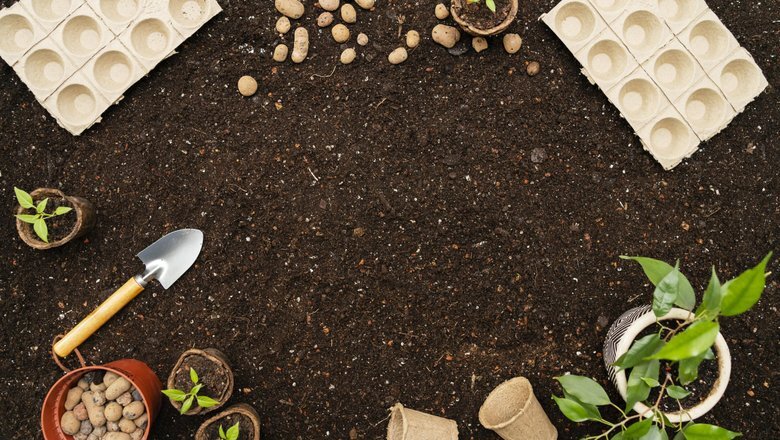 Источник: Freepik