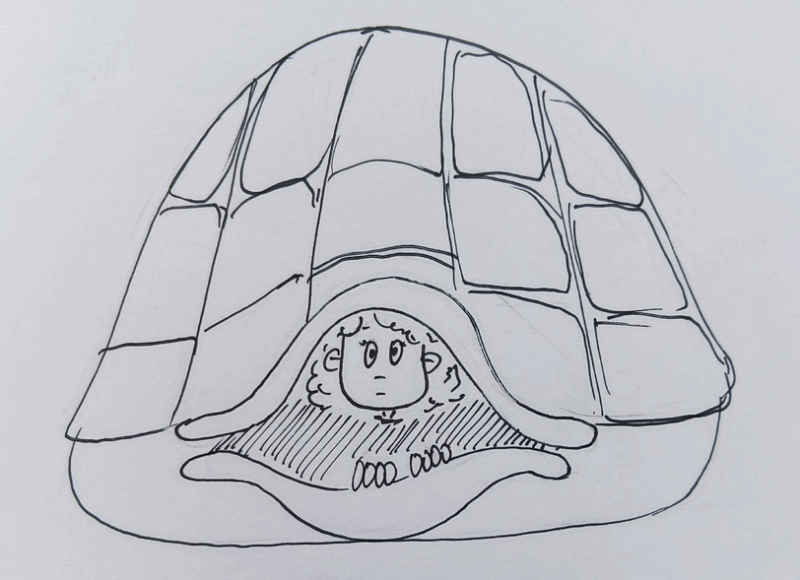 И, не выдержав, этой уязвимости прыгнула в панцирь.. 