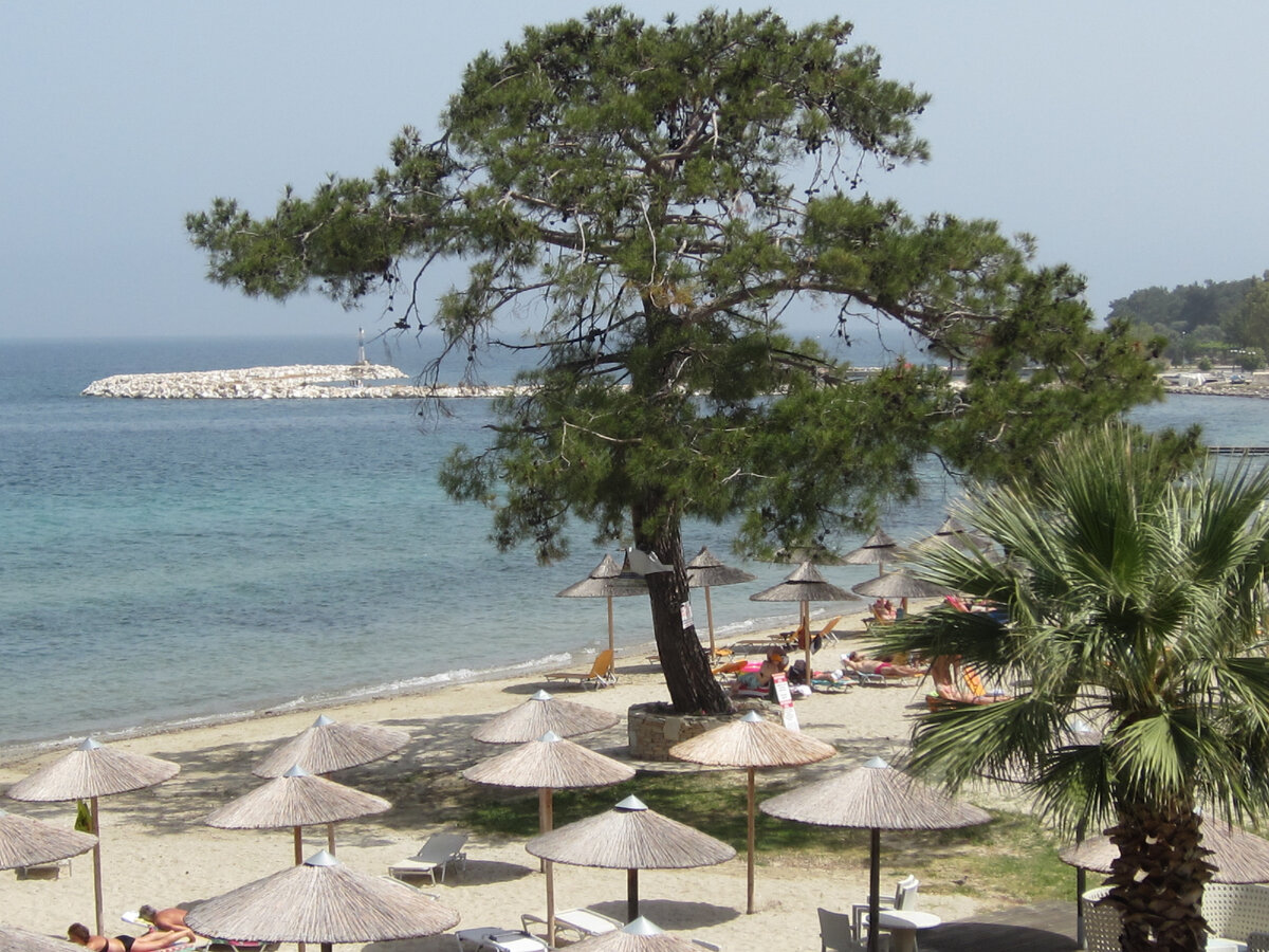 фото из отеля