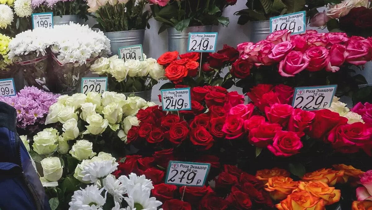     Источник: 1MI