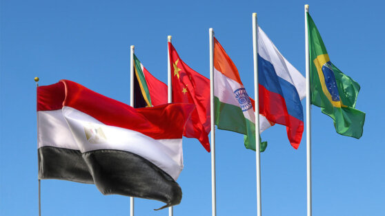    В Египте объяснили стремление стать частью БРИКС Татьяна Сидорова