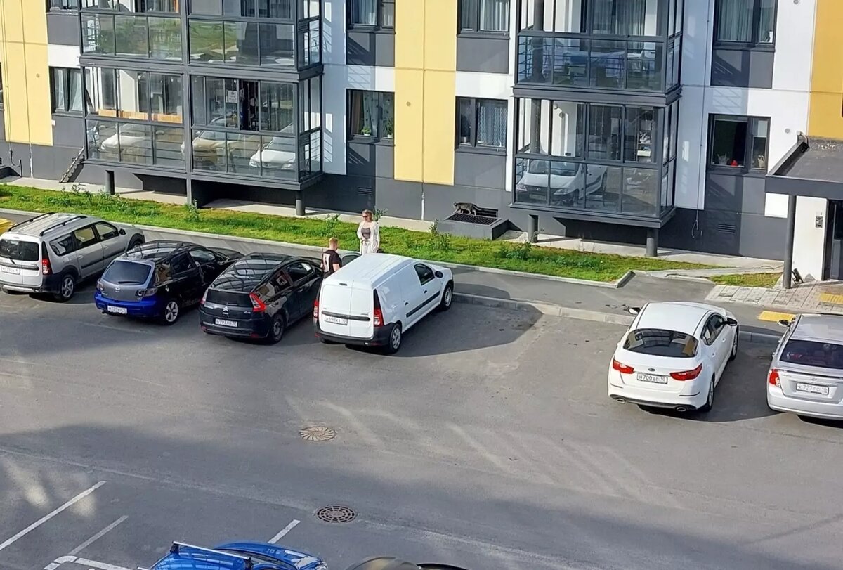     Источник: Моя Древлянка | Сообщество жителей / vk