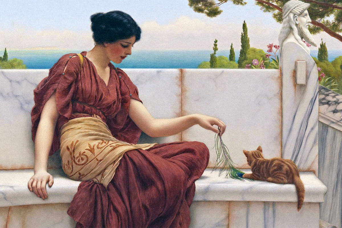 Эгейская кошка