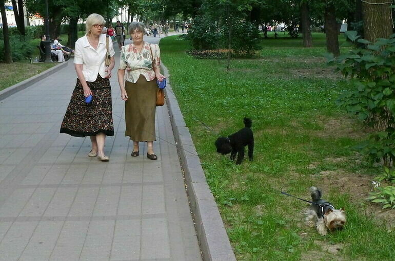   Владимир Афанасьев/ПГ