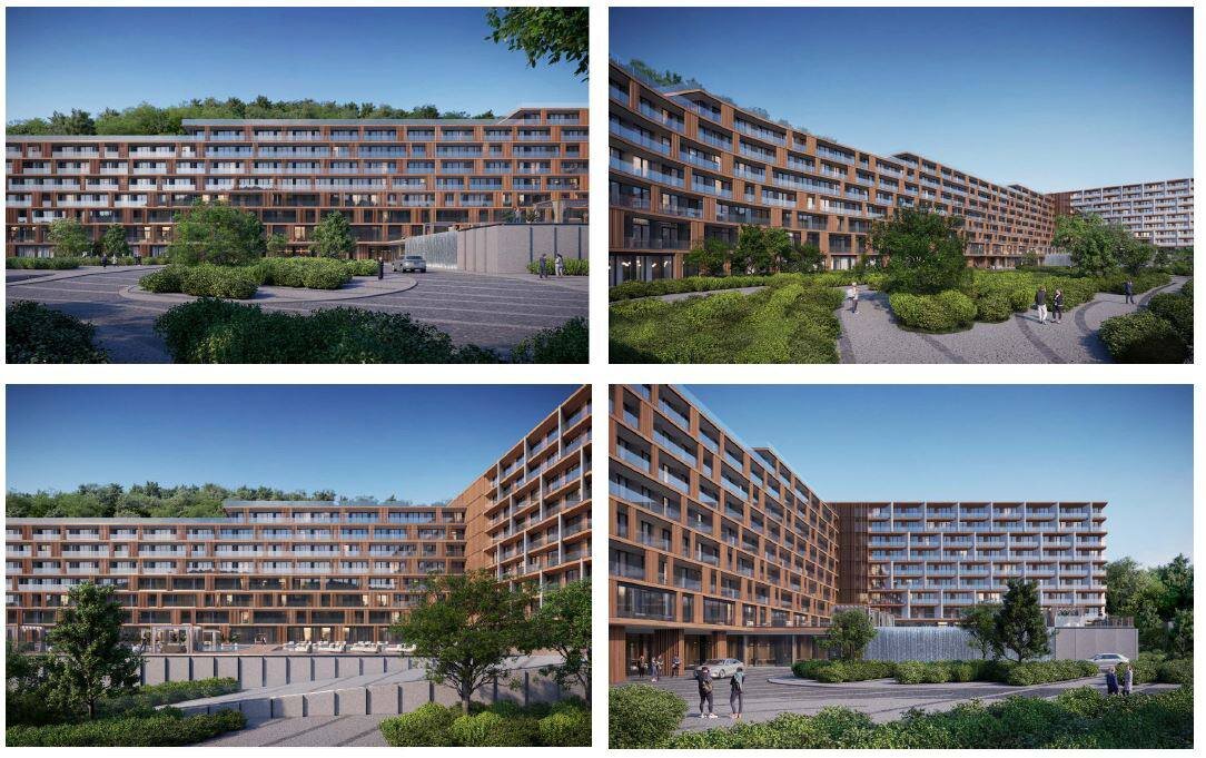    Фото: Telegram/Калинина Светлана Владимировна