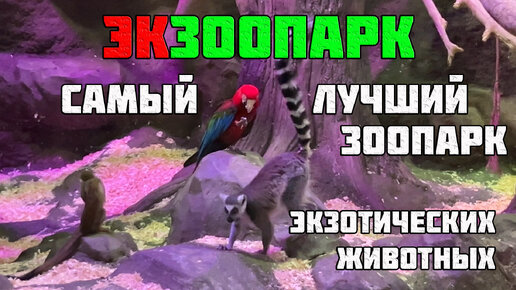 Самый лучший зоопарк экзотических животных в Санкт-Петербурге 4К-best quality