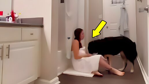 Жена постоянно запиралась в ванной с Собакой по очень необычной причине