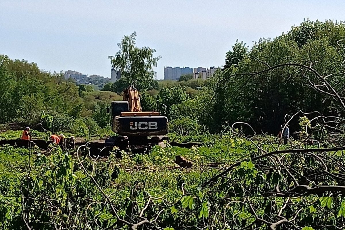    На участке вовсю работает техника