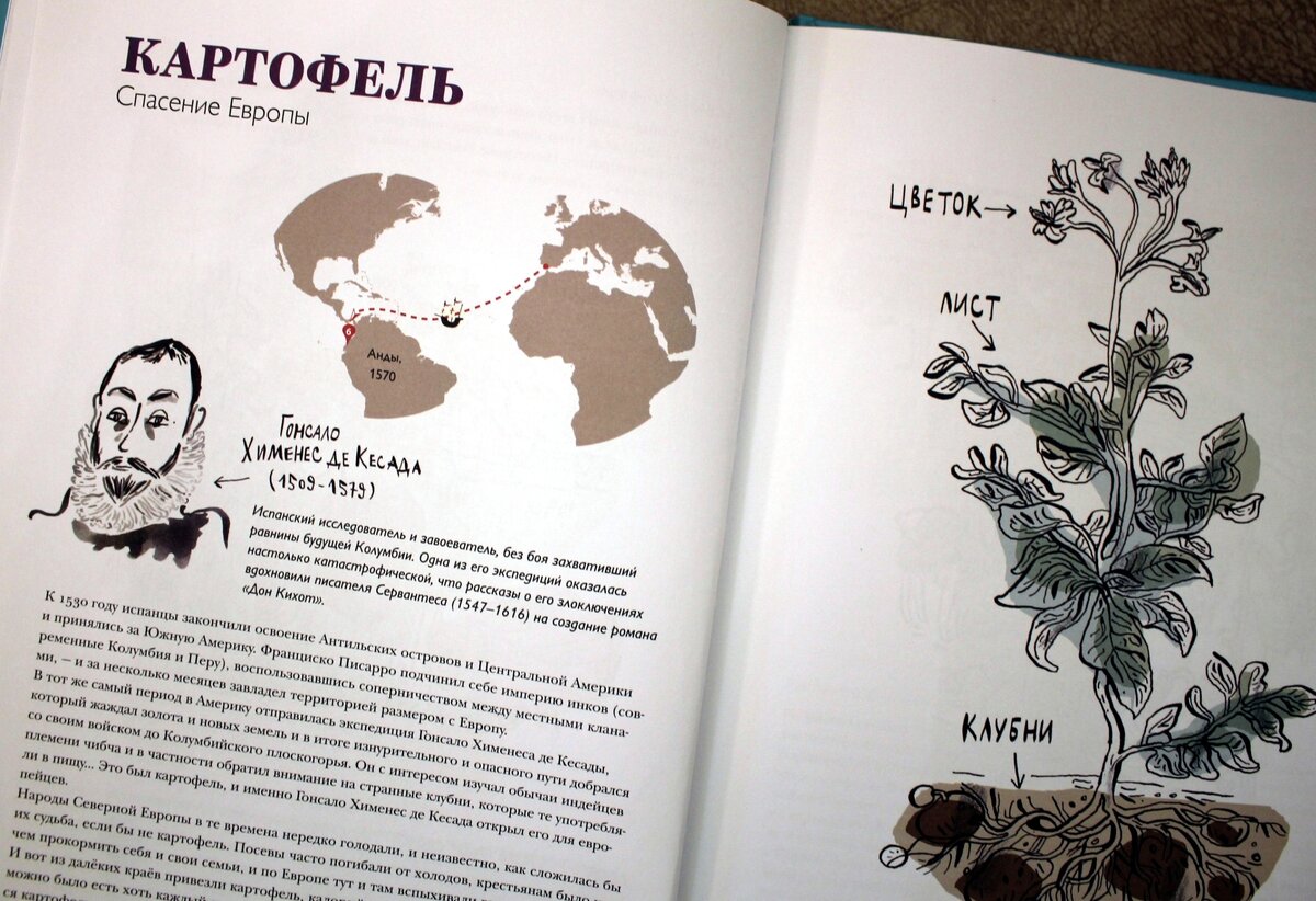 Часть разворота для ознакомительного просмотра