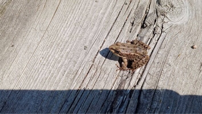 Фото автора. 