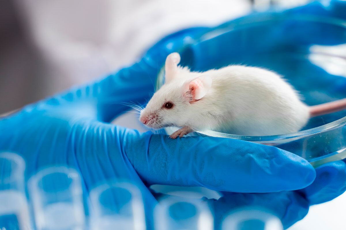    Фото: Egoreichenkov Evgenii / Shutterstock.com