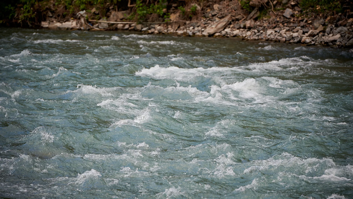 © photo: Sputnik / Stringer