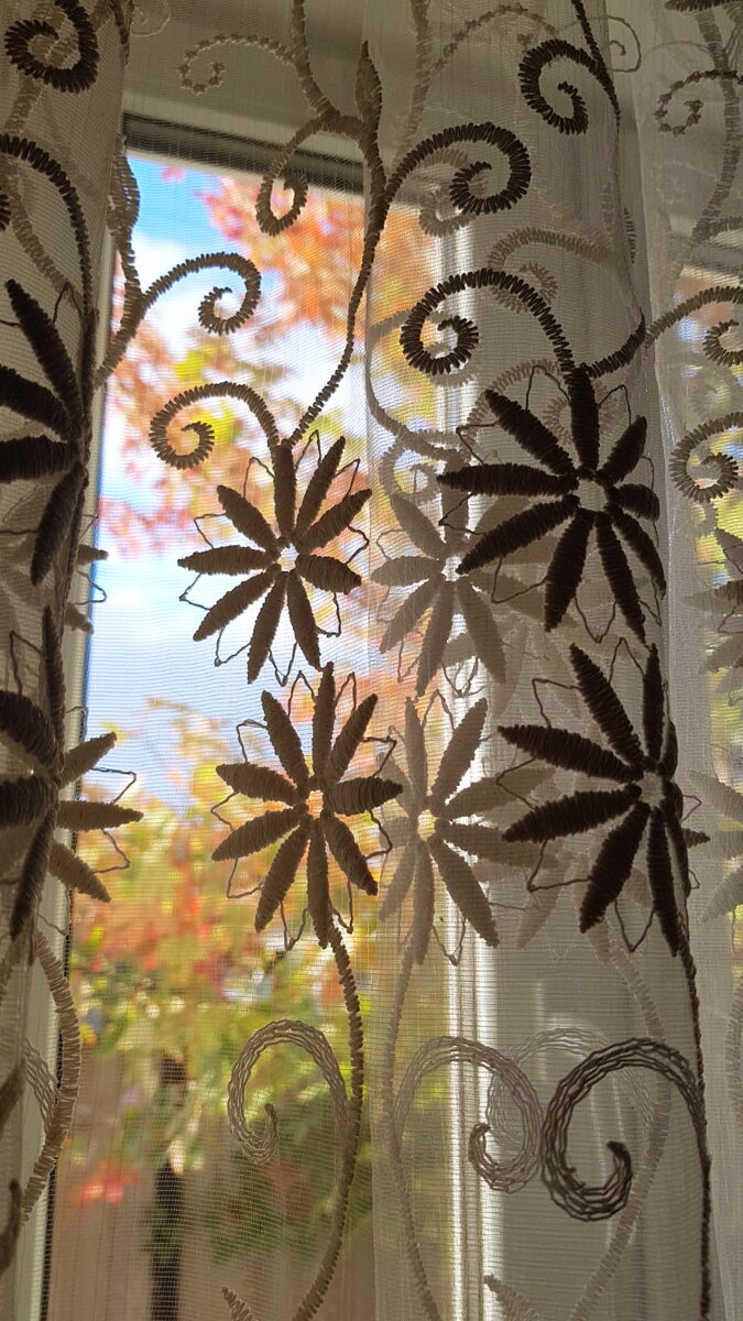 за окном - золотая осень