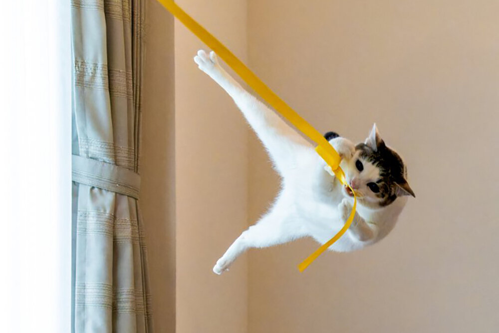    Фото: Kazutoshi Ono