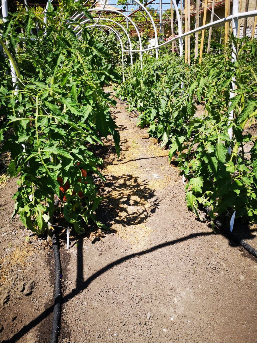 Сочащийся шланг для автоматического полива