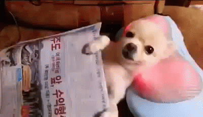 Мне бы так 